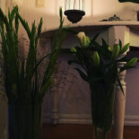 Picknickkorgen.se Utomhus