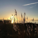 Picknickkorgen.se Utomhus