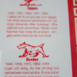 Elegant Chinarestaurang Meny