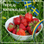 Skälby Pizzeria Mat