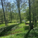 Karlslunds Herrgaard Utomhus