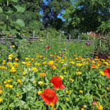 Karlslunds Herrgaard Utomhus
