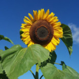 Karlslunds Herrgaard Utomhus