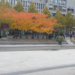 Emmaboda Folkets Hus Utomhus