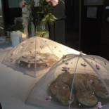 Cafe' Spinnet Sommarsalongen Utomhus