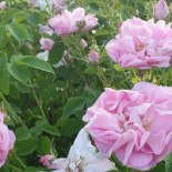 Kulturhuset I Ytterjärna Utomhus