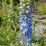 Kulturhuset I Ytterjärna Utomhus