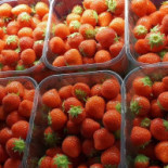 Otterbäckens Sjökrog Mat