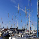 Maelarparkens Cafe Koek Utomhus