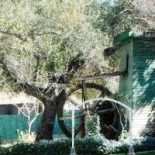 Plaza Restaurang Utomhus