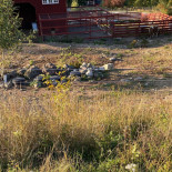 Kafé Klavér Utomhus