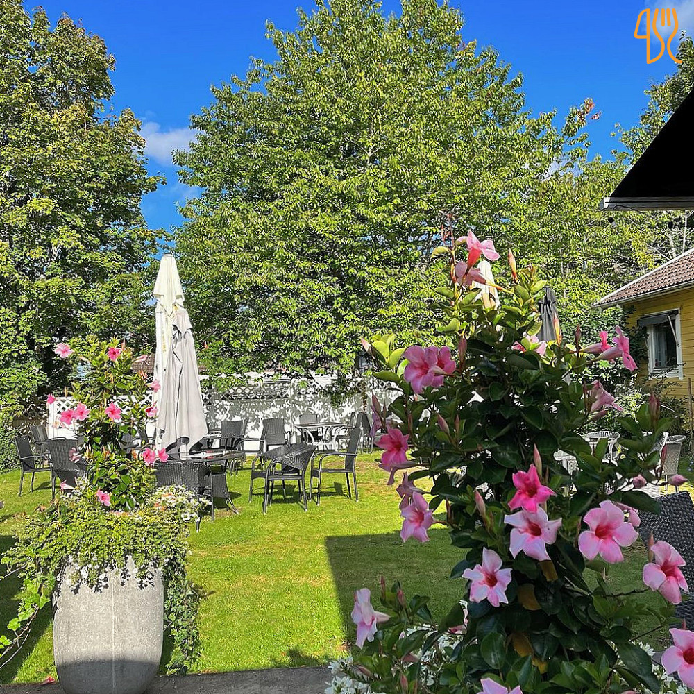 Hotell Björkhaga Utomhus