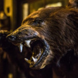 Phil's Burger Götgatan Dryck