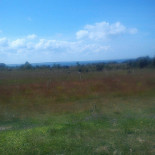 Restaurang Utsikten Utomhus