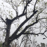 King´s Hill Utomhus