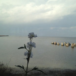 Café Kustens Pärla Utomhus