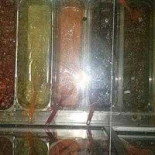 Texmex I Skellefteaa Ab Inomhus