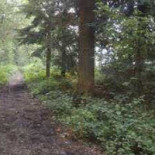 Brasserie Makaloes Utomhus