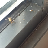 Rösjö Restaurang Pizzeria Dryck