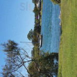 Grappolo D'uva Utomhus