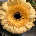 Charlies Bistro Dryck