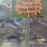 Charcoal Road 12 Kitchen Brewery Utomhus