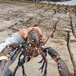 Sollidens Brewery Dryck