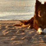 I-gruppen, Hallsberg Dryck