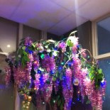 Restaurang Thai House Dryck