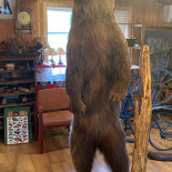 Vippabackens Servering Inomhus