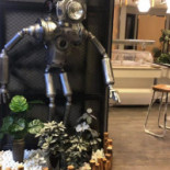 Mr Wok Piteaa Ab Utomhus