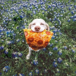 Indian Taste Utomhus