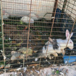 Terrassen Mat Vin Meny