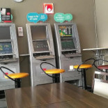 China Garden Inomhus