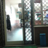 Axel's Grill Utomhus