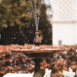 Dahlbergs Cafe Dryck