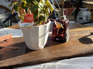 Café Linné Hörnan