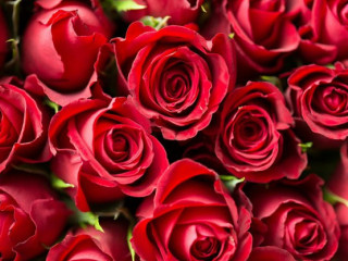 Burträsk Värdshus Ab