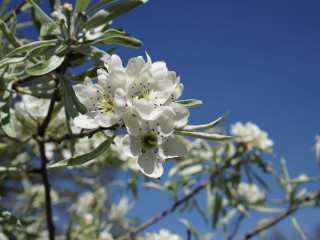 Förlandavägen Restaurang Och Försäljning