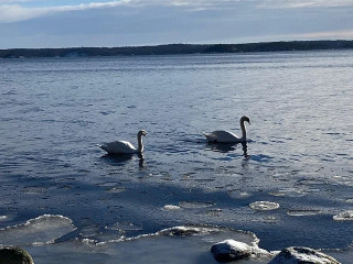 Bistro Gålö Havsbad