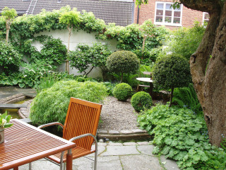 Dofternas Trädgård