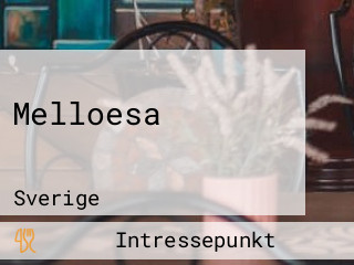 Melloesa Foersamlingshem