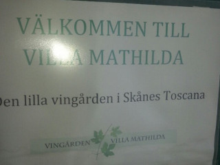Vingården Villa Mathilda