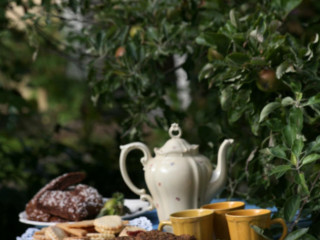 Krutans Rumsuthyrning