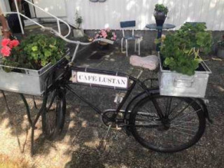 Café Lustan-aspö