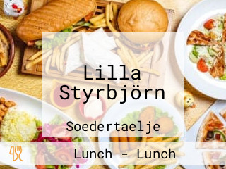 Lilla Styrbjörn
