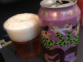 (sk) Scandinavian Airlines