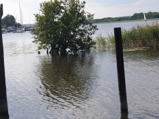 Borgåsunds Gästhamn Och Café