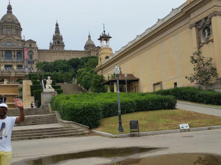 Koi Sushi Gyoza Orminge