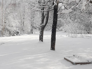 China Country Restaurang